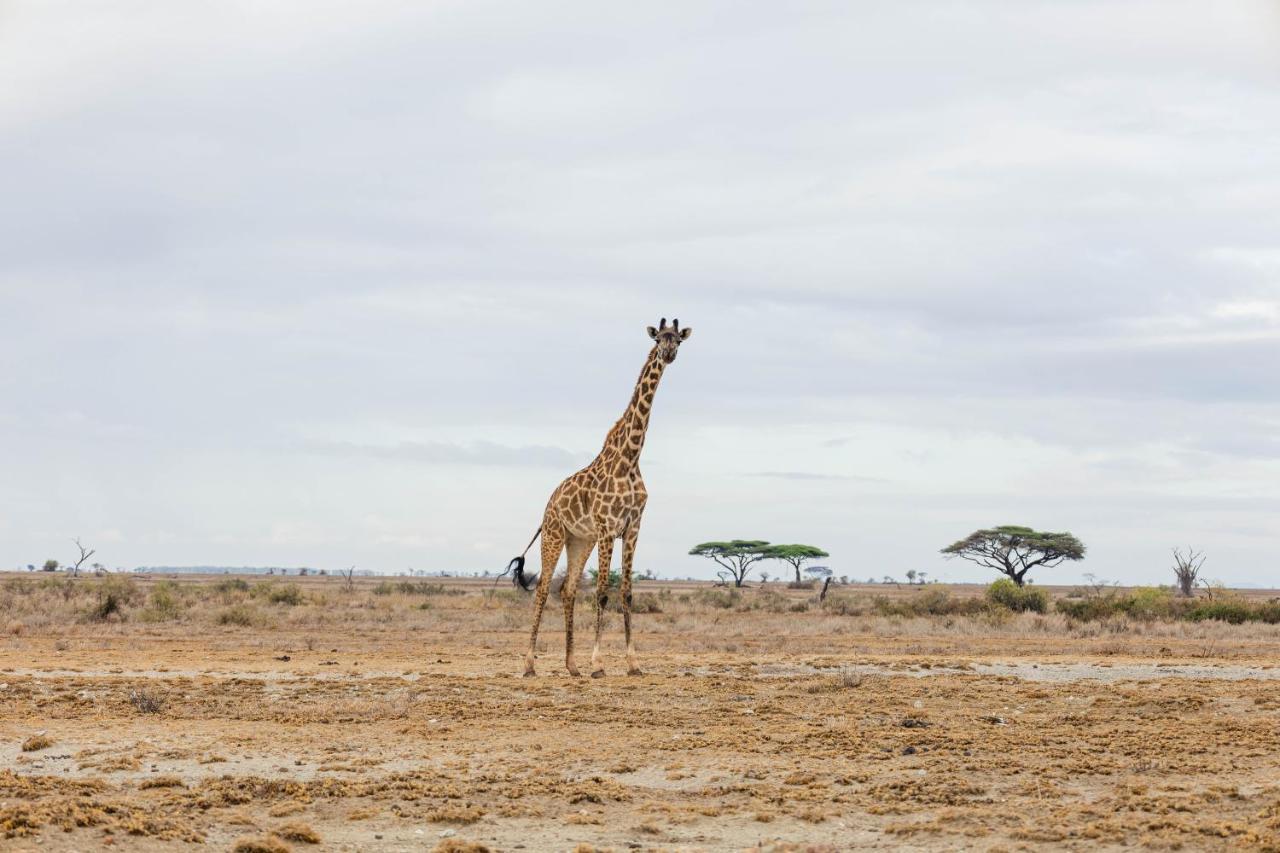 Wild Amboseli Ndovu Cottage. 외부 사진