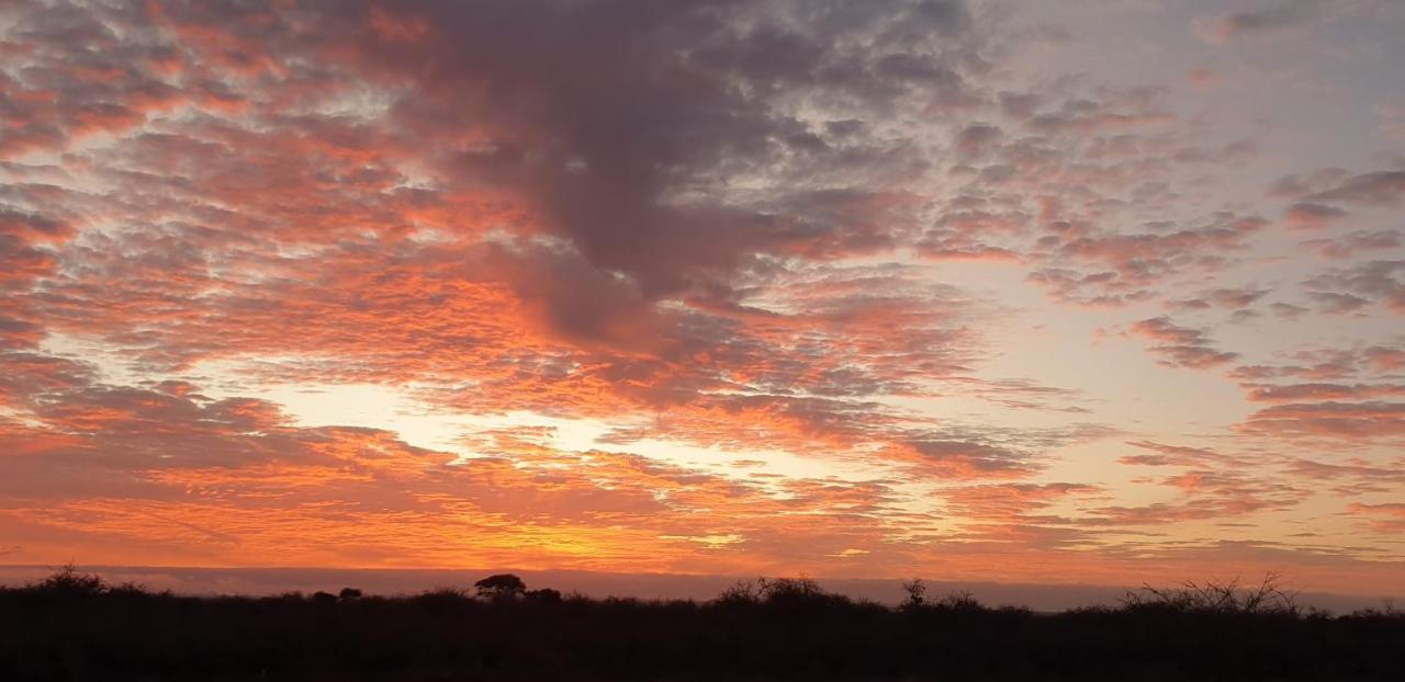 Wild Amboseli Ndovu Cottage. 외부 사진