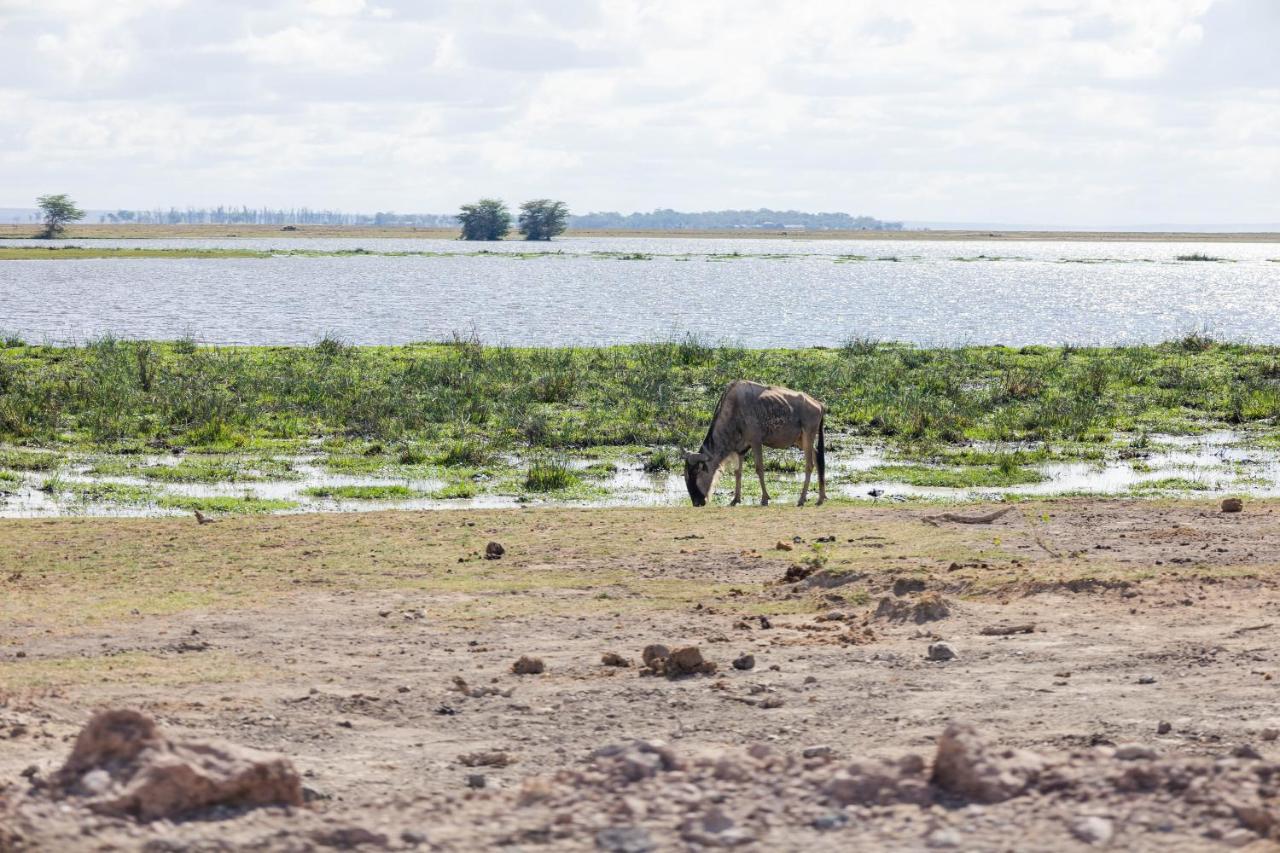 Wild Amboseli Ndovu Cottage. 외부 사진