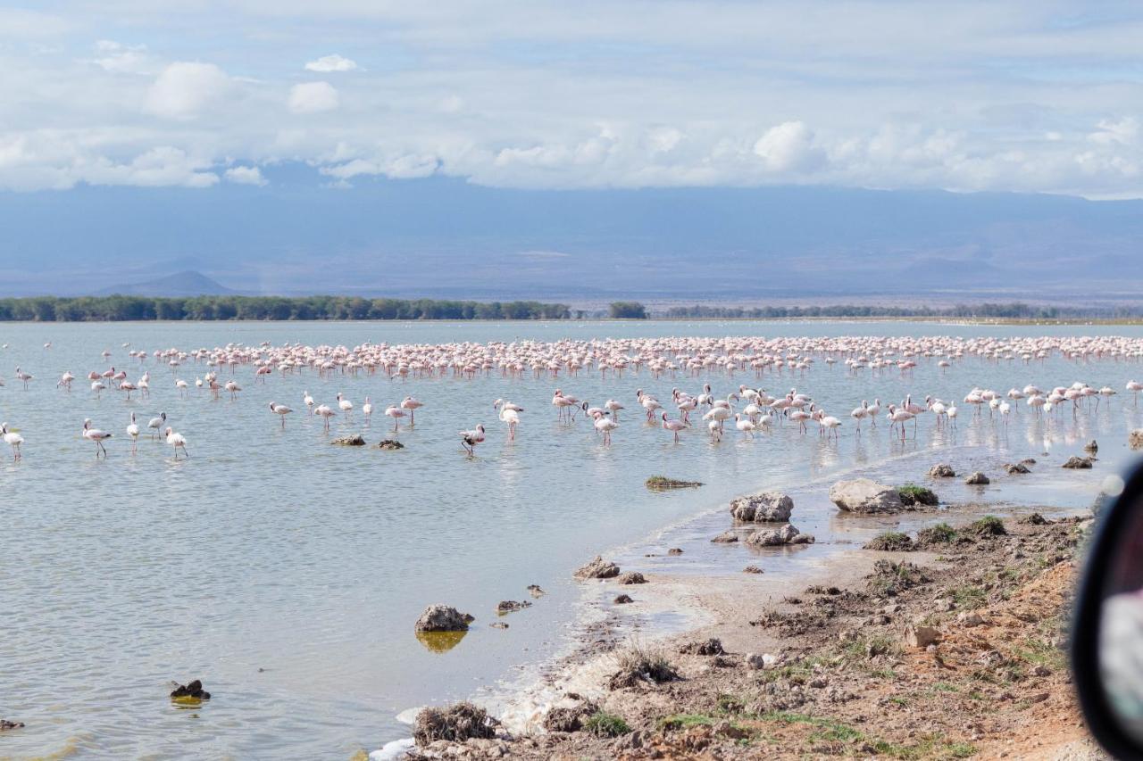 Wild Amboseli Ndovu Cottage. 외부 사진