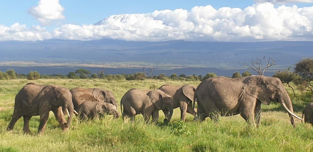 Wild Amboseli Ndovu Cottage. 외부 사진