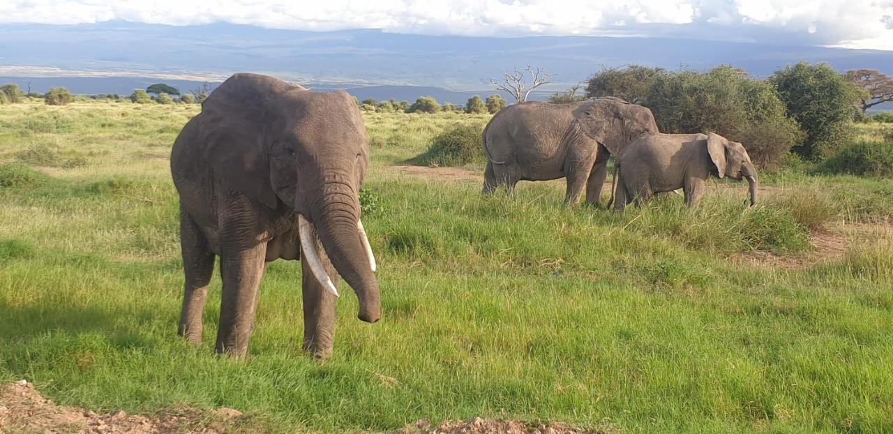 Wild Amboseli Ndovu Cottage. 외부 사진