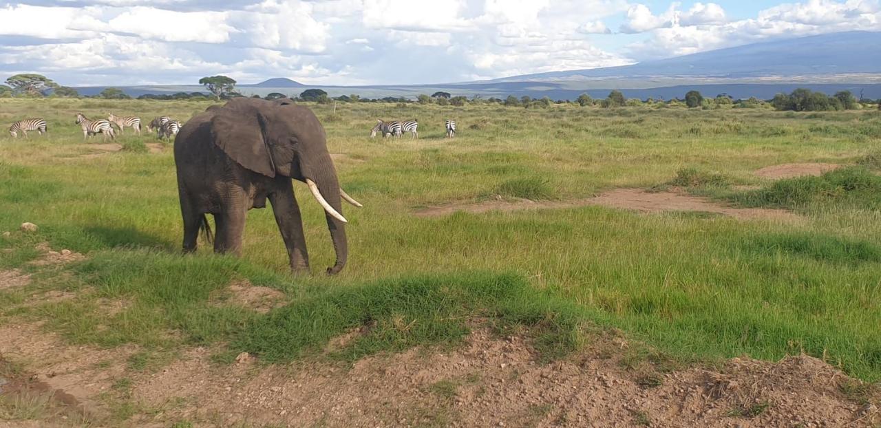 Wild Amboseli Ndovu Cottage. 외부 사진