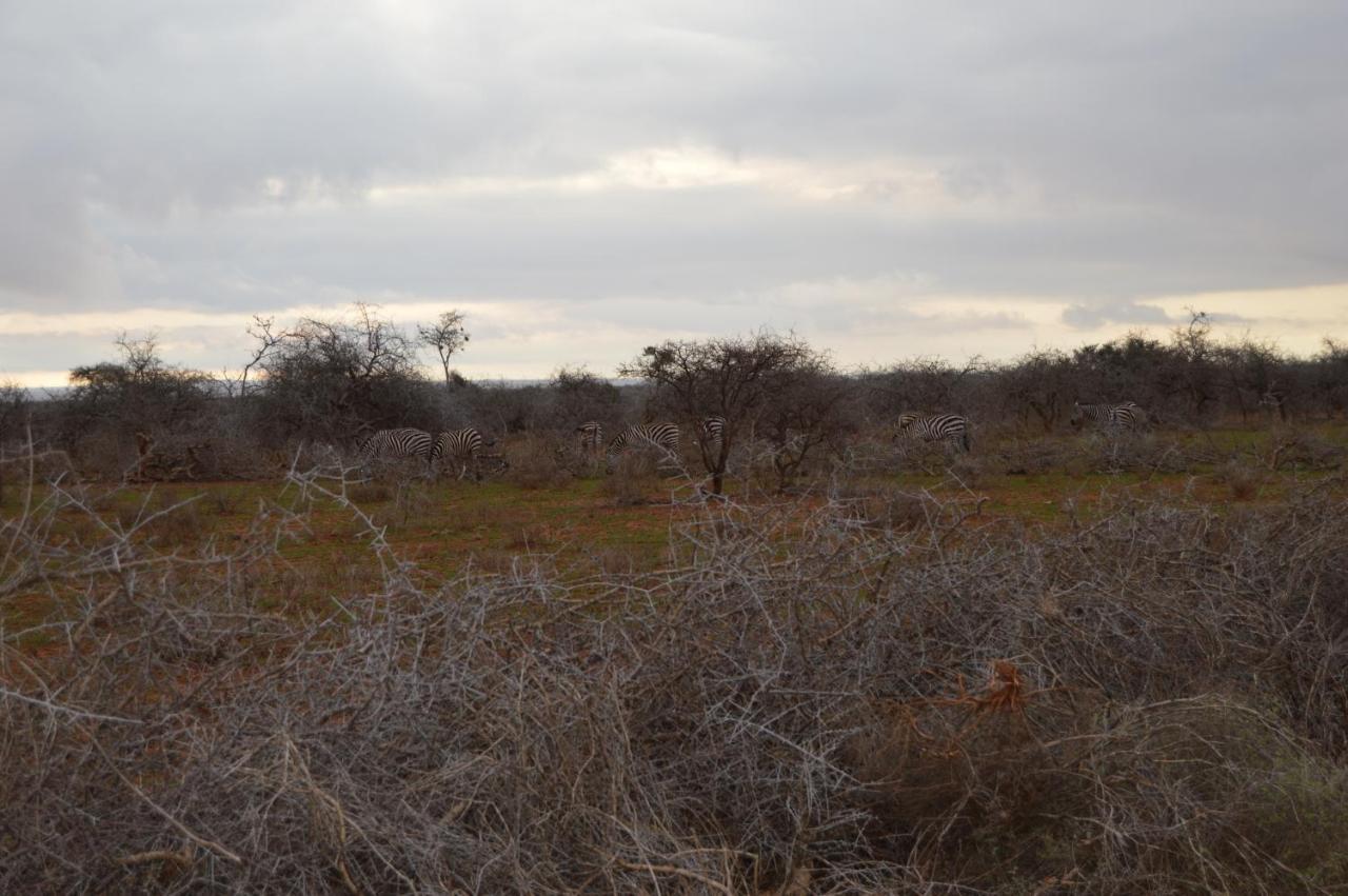 Wild Amboseli Ndovu Cottage. 외부 사진