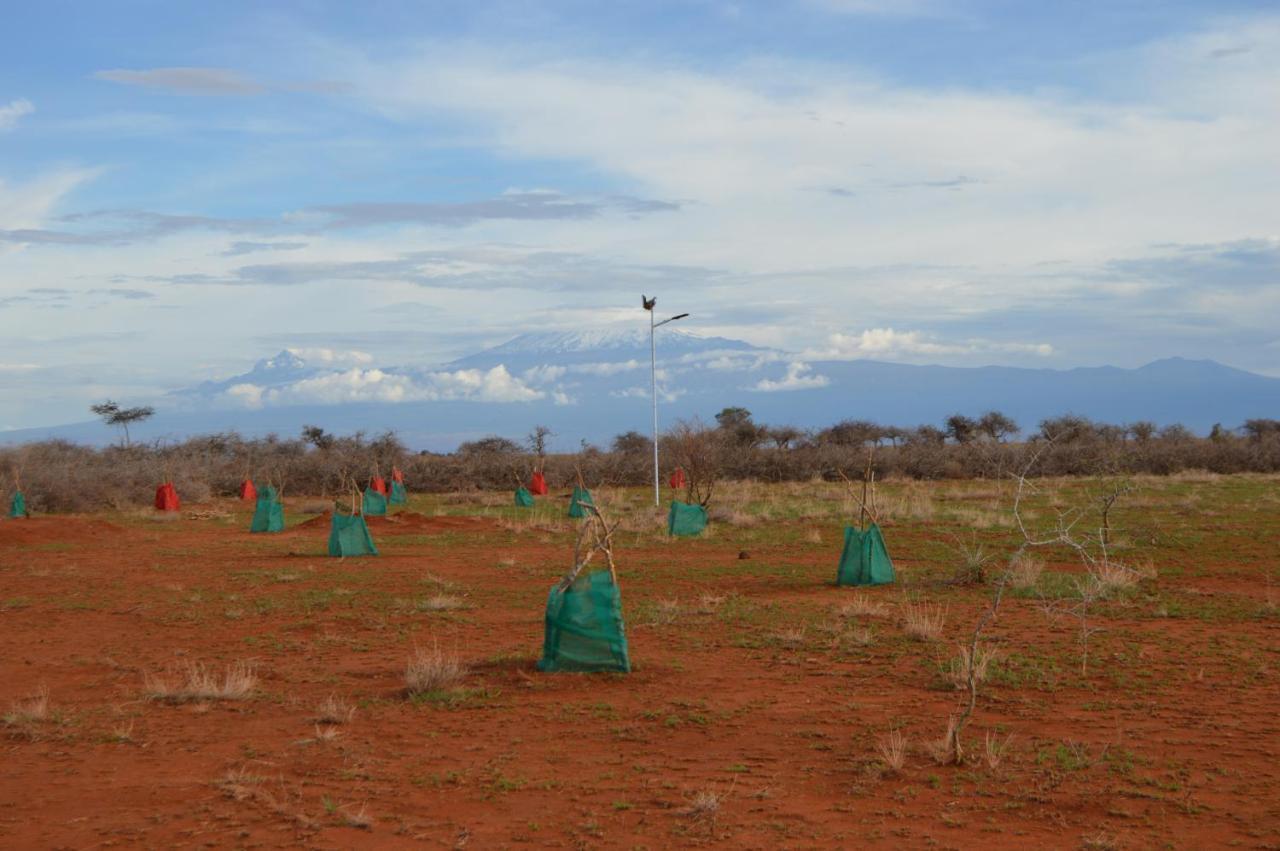 Wild Amboseli Ndovu Cottage. 외부 사진