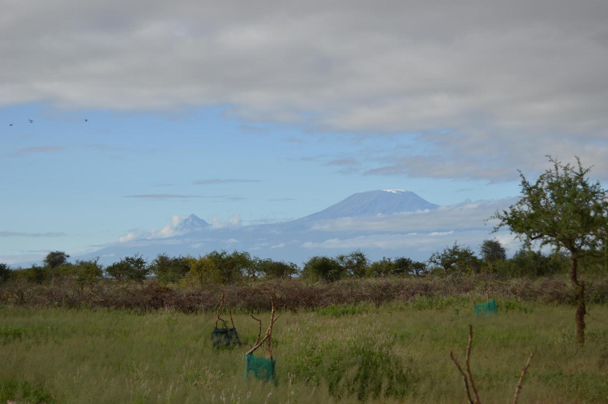 Wild Amboseli Ndovu Cottage. 외부 사진