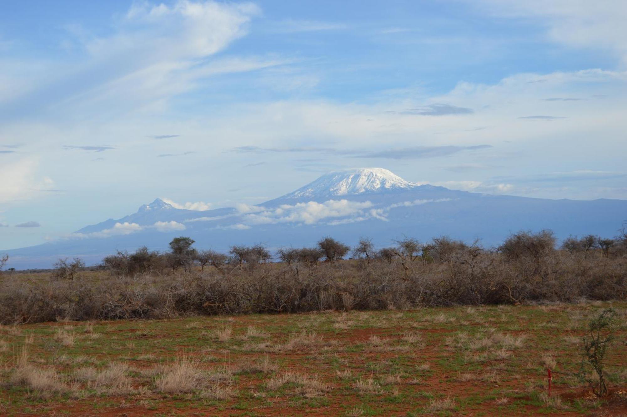 Wild Amboseli Ndovu Cottage. 외부 사진